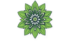 Middlebury Garden Club